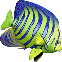 Fish GIF